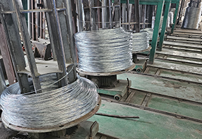 Galvanized Steel Wire