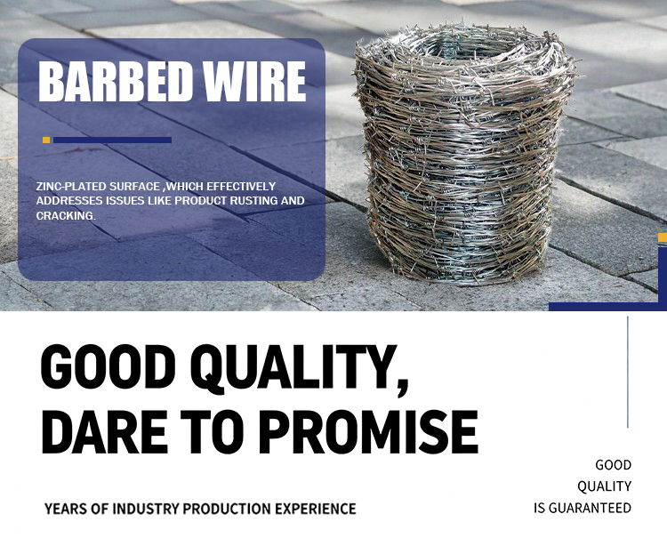 Barbed-Wire (2)