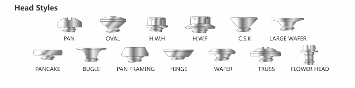 screw head