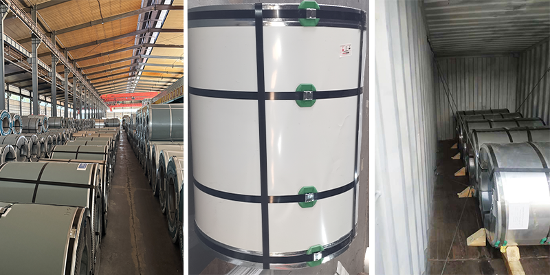 ppgi-ppgl-steel-coil2