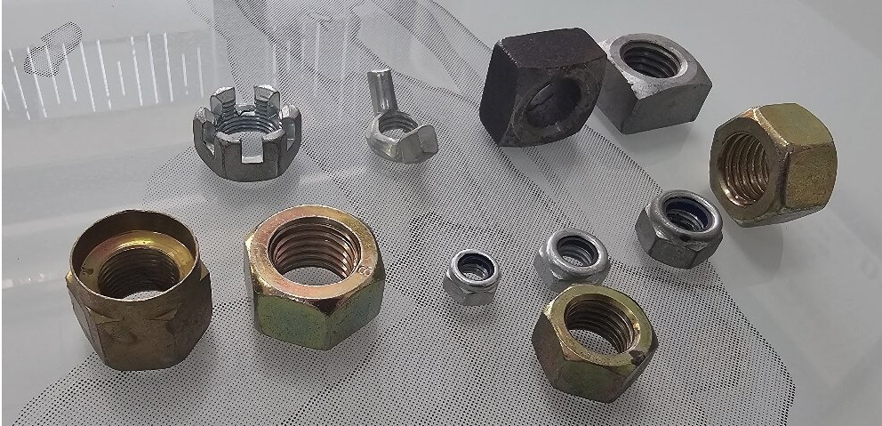 nuts1