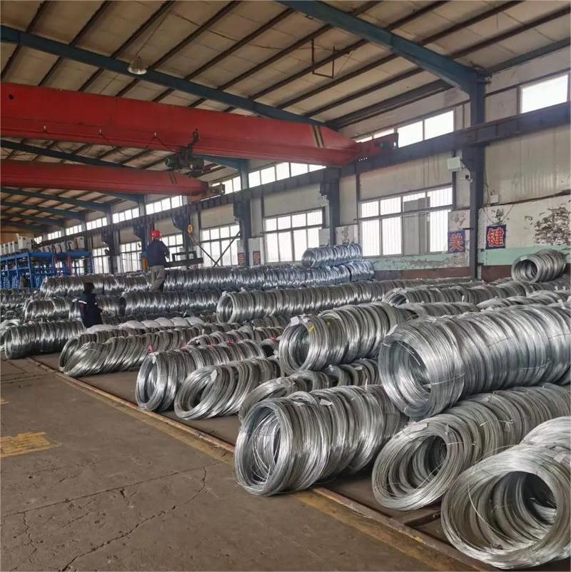 galvanized WIRE steel galvanized wire (1).jpeg