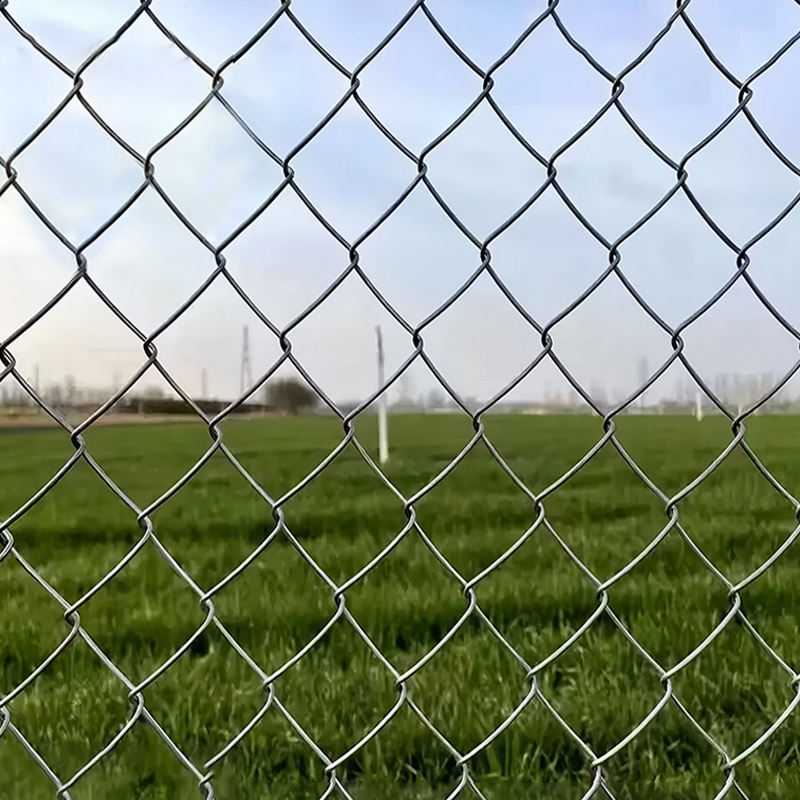 chain link wire mesh fence (9).jpg